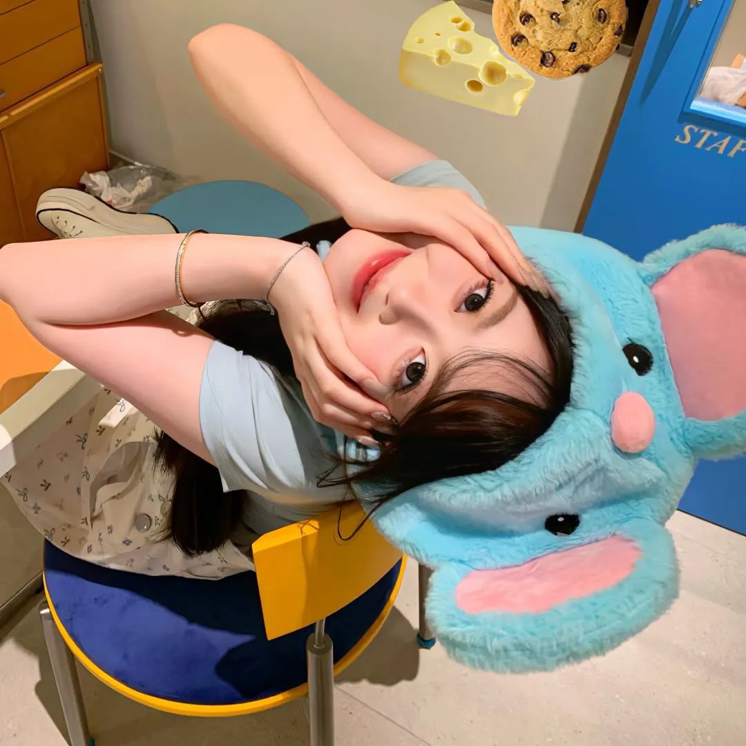 狸想世界